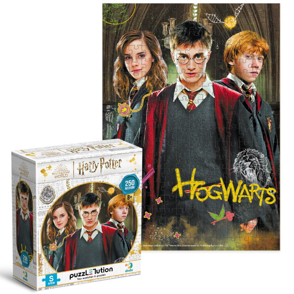 Puzzle “Harry și prieteni”, seria Harry Potter, 250 elem.