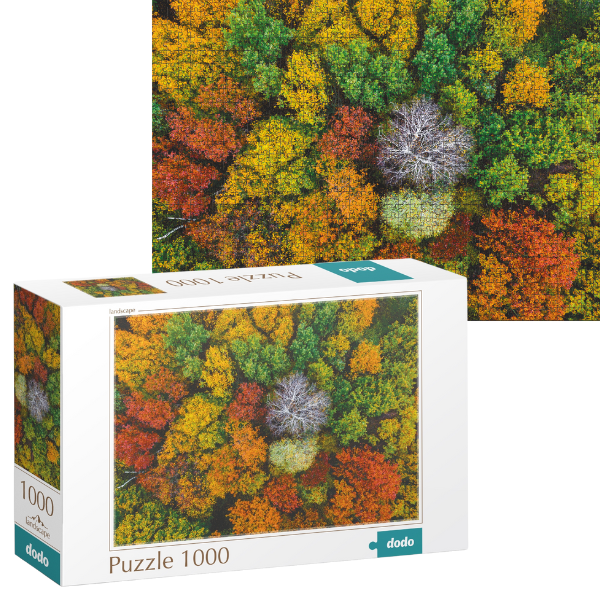 Puzzle “Satul Dzembronya. Ucraina”, seria Peisaje, 1000 elem.
