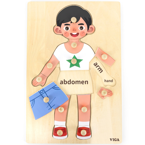 Puzzle din lemn cu buton “Băiețel – Descoperim părțile corpului”, 11 elem.