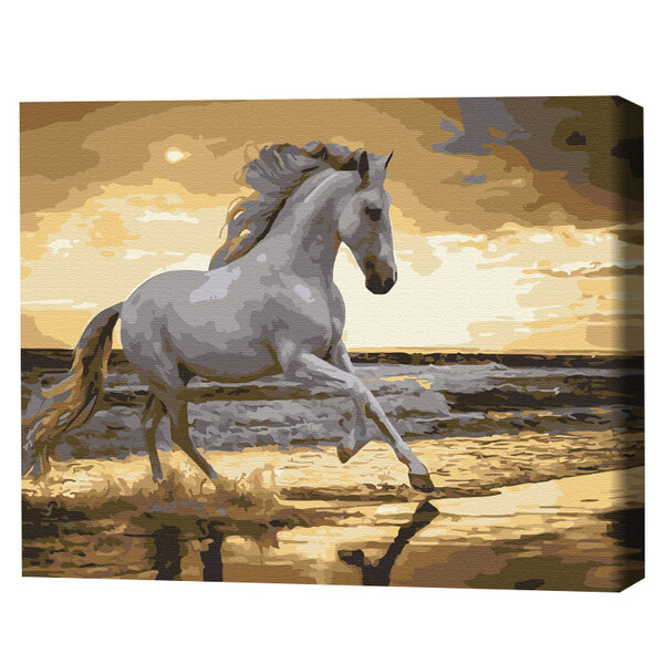 Pictură pe numere 40×50 cm (fără cutie)  – Trapând pe coastă