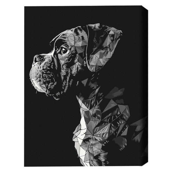 Pictură pe numere 40*50 cm (fără cutie) – Paznicul nopții