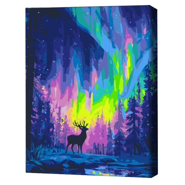 Pictură pe numere 40*50  сm (fără cutie) – Aurora polară.