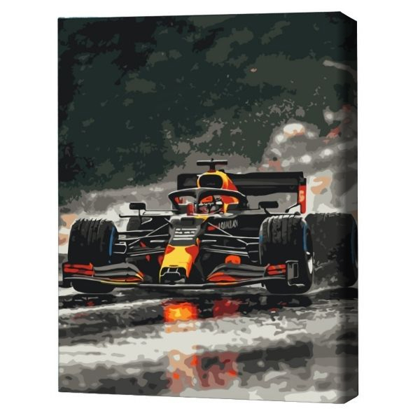 Pictură pe numere 40*50 сm (fără cutie) – Formula adrenalinei.
