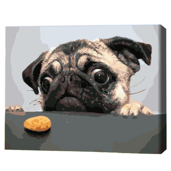 Pictură pe numere 40×50 cm (fără cutie) – Mopsul