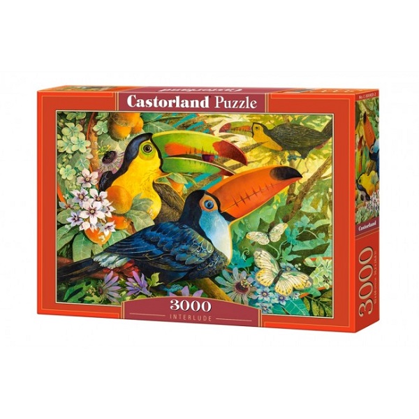 Puzzle 3000 elemente