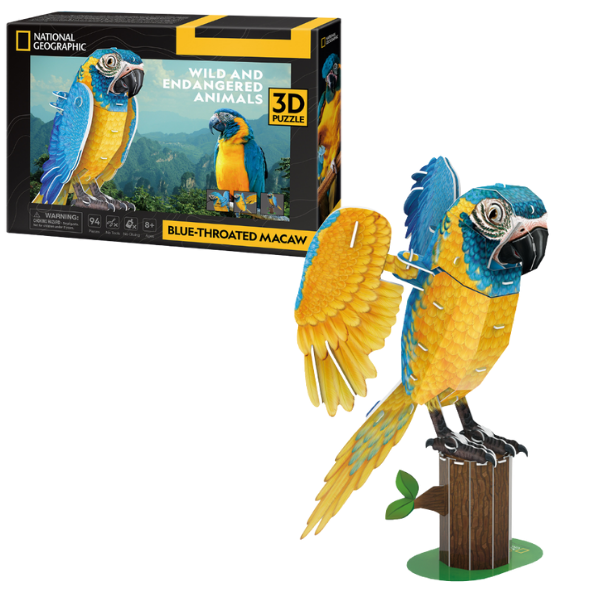 3D puzzle “Ara cu piept galben”, 82 elemente