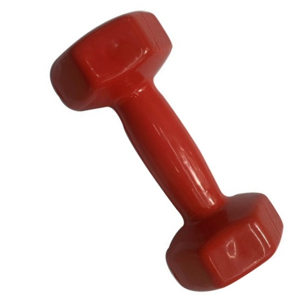 Ganteră pentru fitness,1 buc * 2 kg
