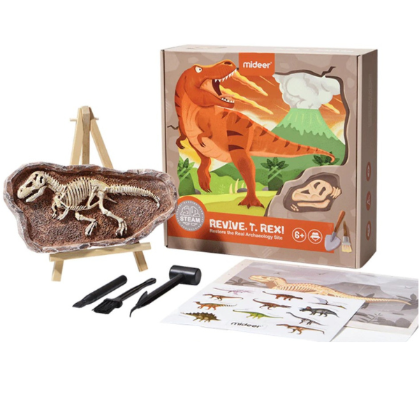 Setul micului arheolog “Revelarea lui T-Rex”