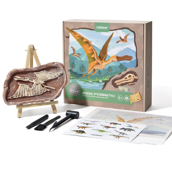 Setul micului arheolog “Revelarea Pterosaurului”