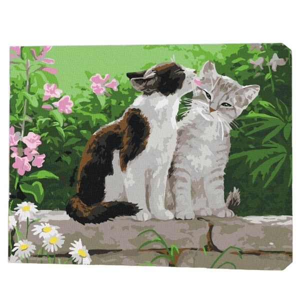 Pictură pe numere 30*40 сm (fără cutie) – Cuplu de pisoi