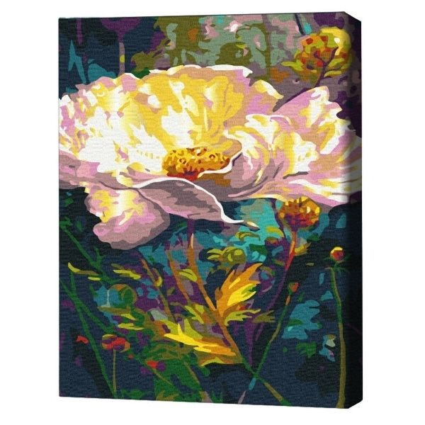 Pictură pe numere 30*40 сm (fără cutie) – Floare de zână